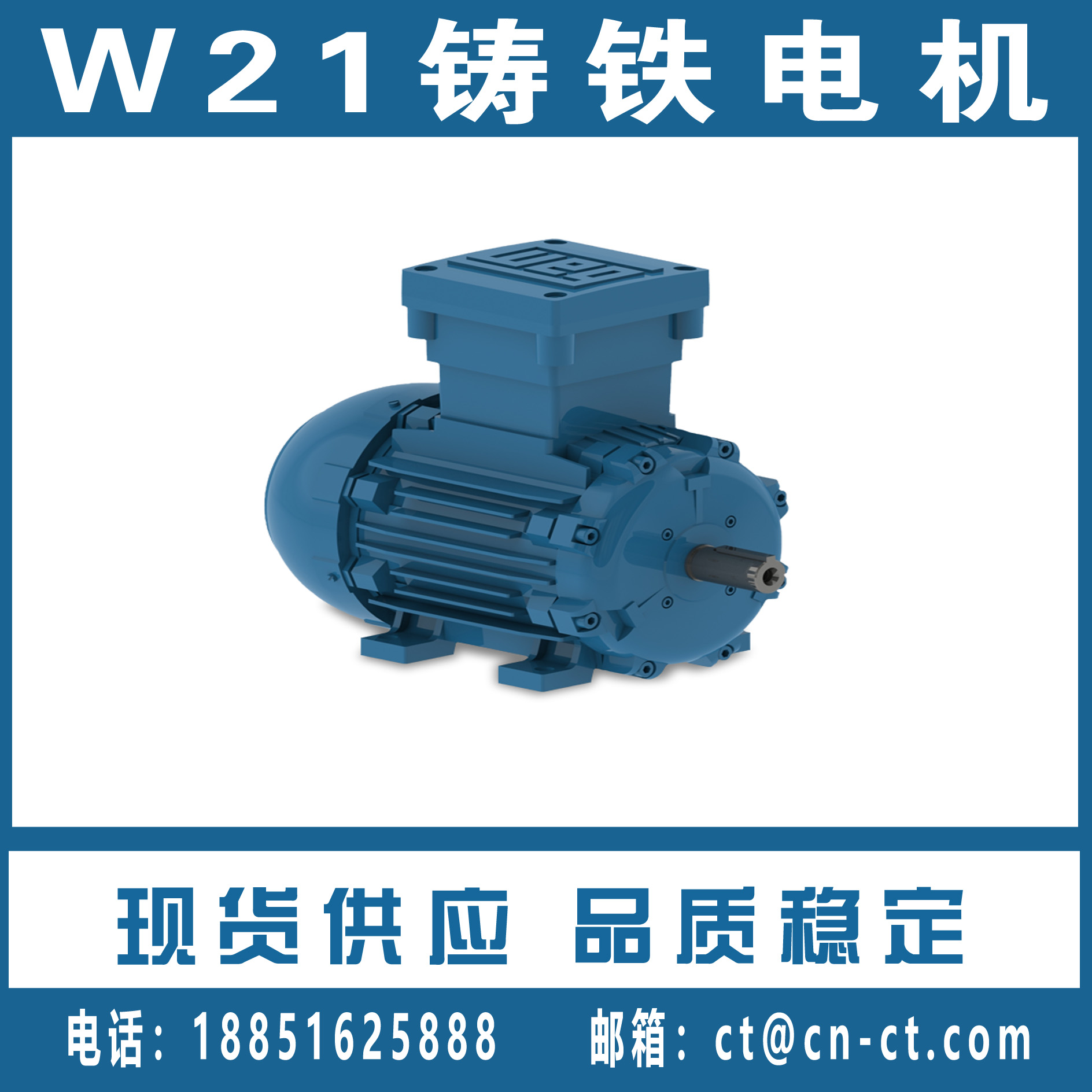 W21 铸铁电机
