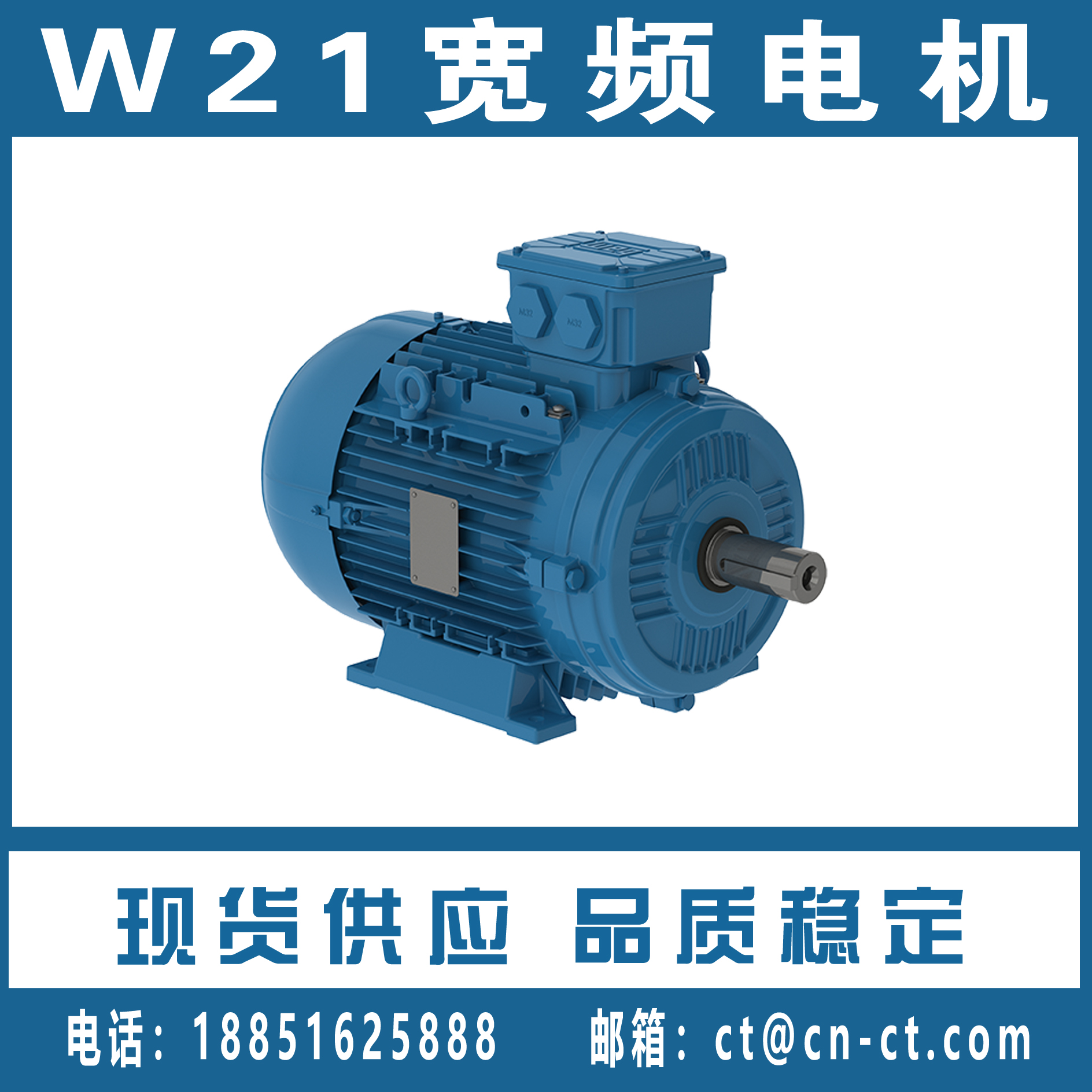 W21多电压电机
